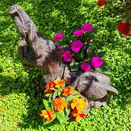 Ivana Charming Garden & Free Parking Apartment