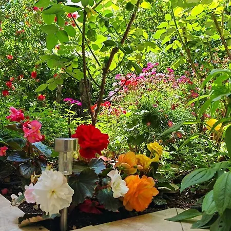 Apartment Ivana Charming Garden & Free Parking
