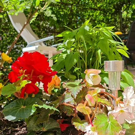 Ivana Charming Garden & Free Parking Lejlighed Split